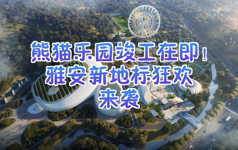 熊猫最后一晚狂欢资源图标