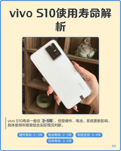 vivos10寿命一般几年缩略图