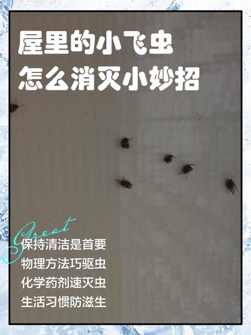 屋子里有虫子怎么去除缩略图