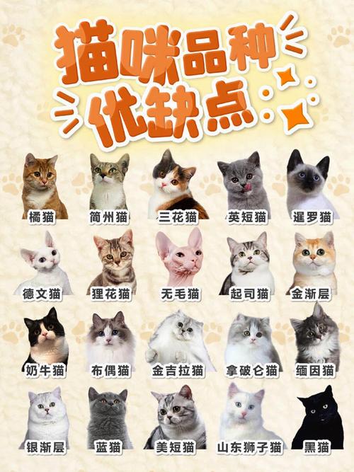 猫箱反转cos缩略图