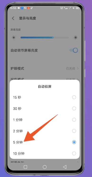 苹果亮屏时间设置在哪里缩略图