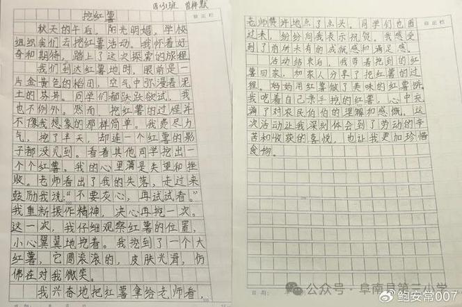 以劳动为主题的作文缩略图