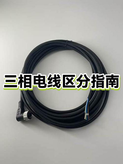 三相电几根火线几根零线游戏截图