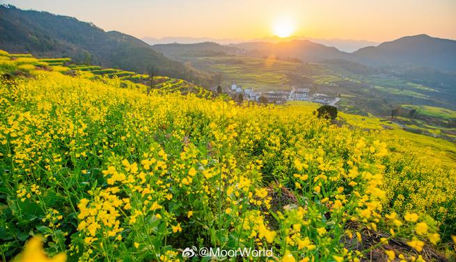 dnf2022春节套光环缩略图