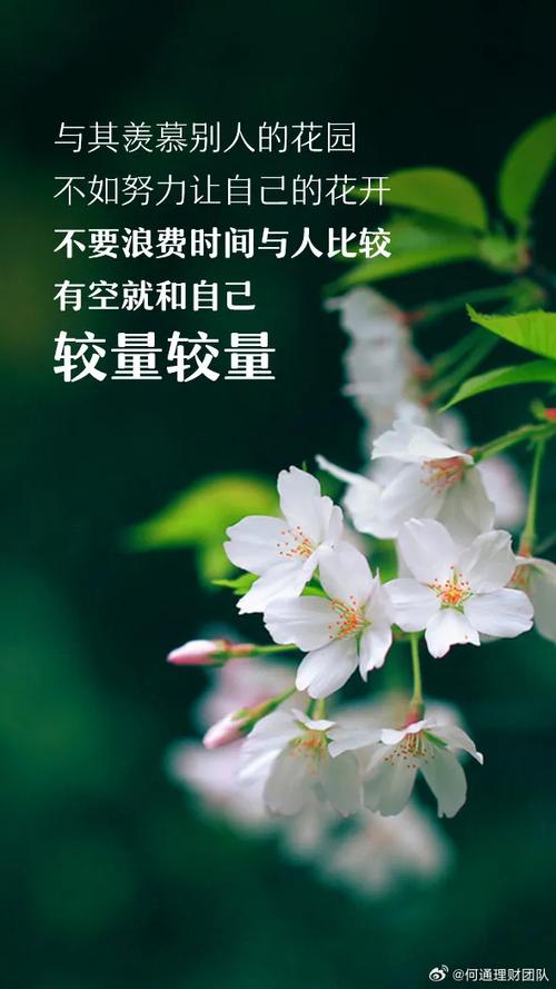 《你不懂我的心》歌词游戏截图