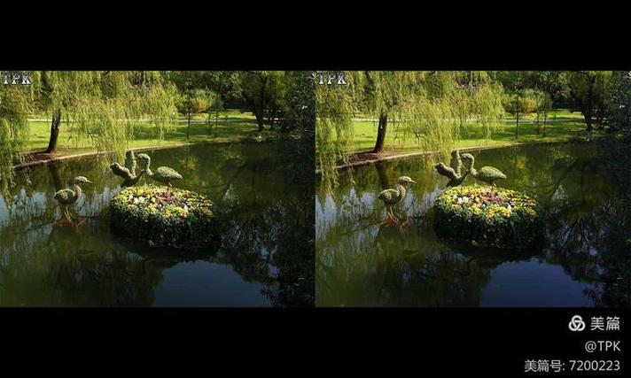 偏光3D和左右3D缩略图