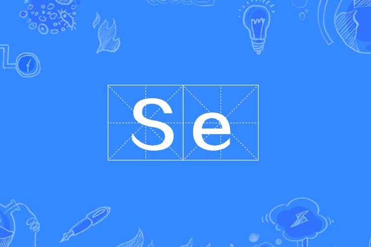 公司SE是什么意思缩略图
