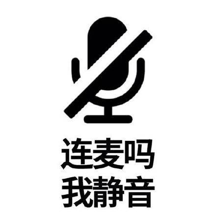 soul连麦静音是哪一边静音游戏截图