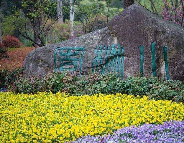 中山小桃园