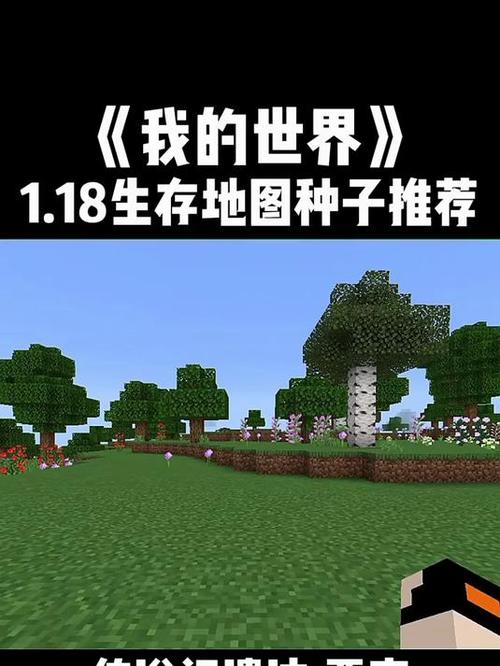 我的世界游戏中最稀有种子缩略图