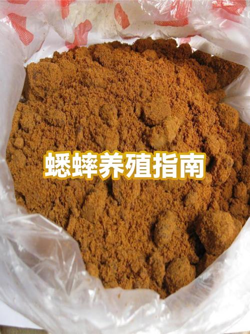 蟋蟀繁殖方式