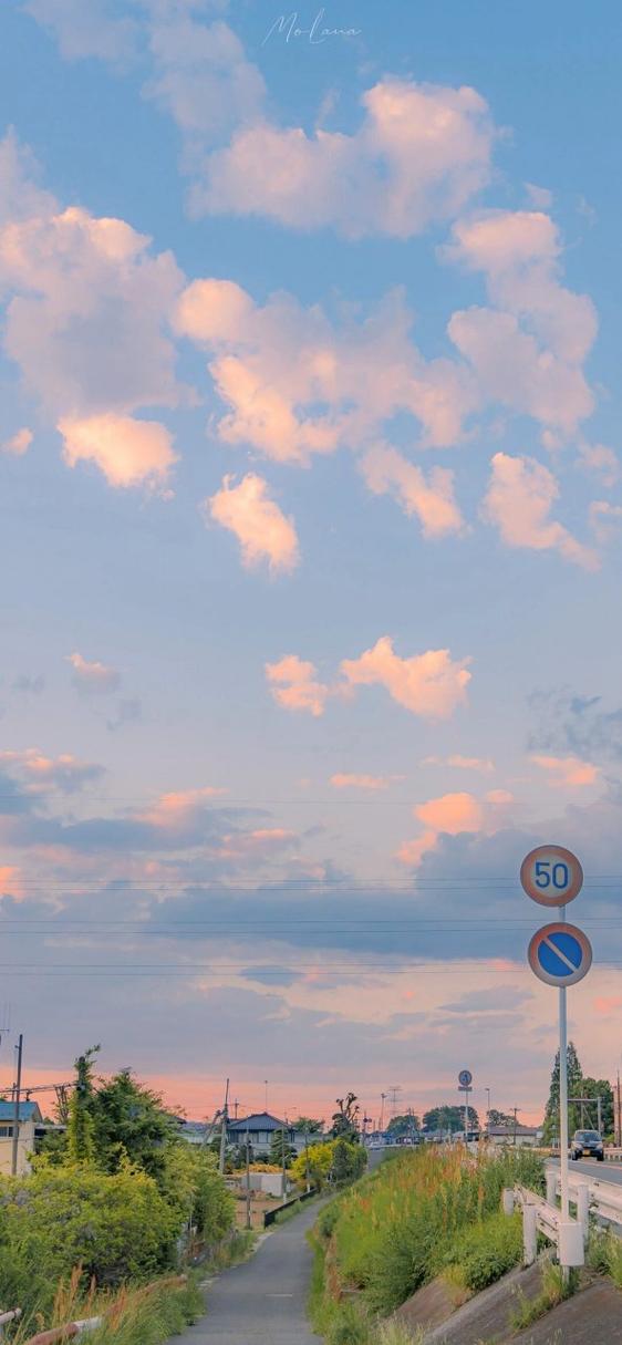 wallpaper有必要买吗图标