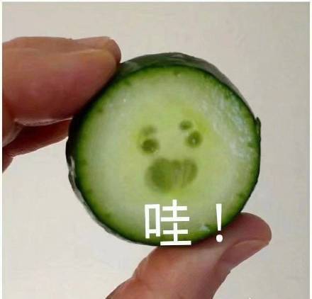 哇的动态表情包缩略图