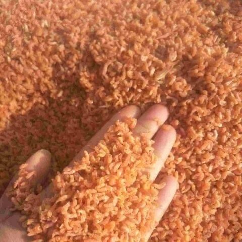 迷你虾米