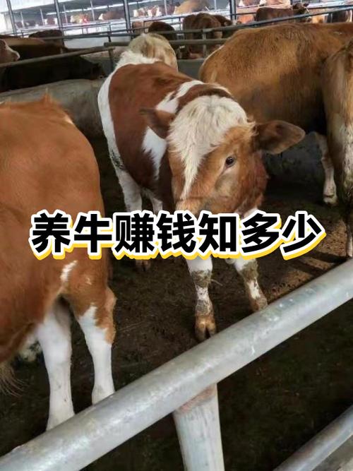 欢乐养牛场赚钱版图标
