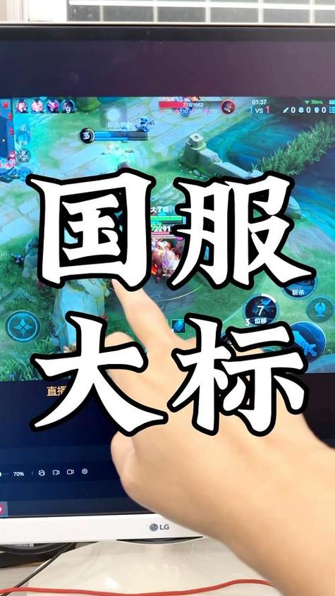 王者荣耀国服标志图标缩略图