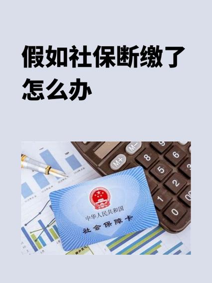 社保怎么查余额还有多少