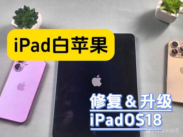 ipad一直卡在白苹果不能关机