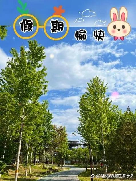 愉悦生活汉化版安卓下载缩略图