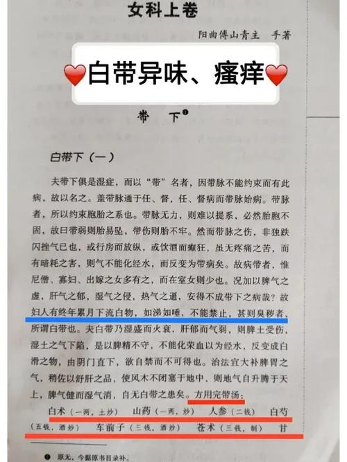 妇科圣手之逍遥图标