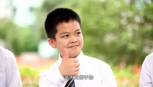 赞扬分享得好的语言