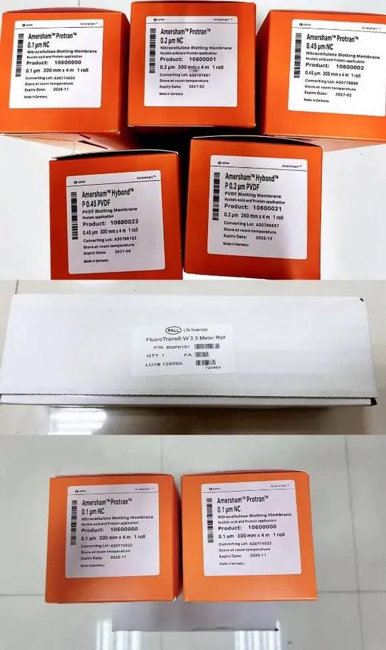 cytiva中国有几家工厂图标