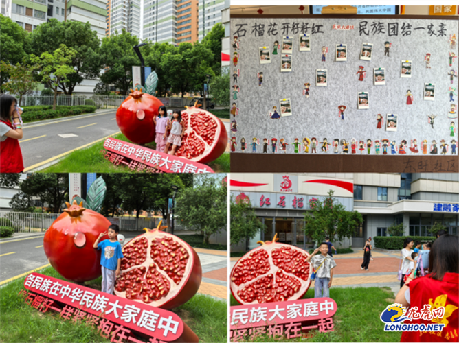建造家园养龙的游戏图标