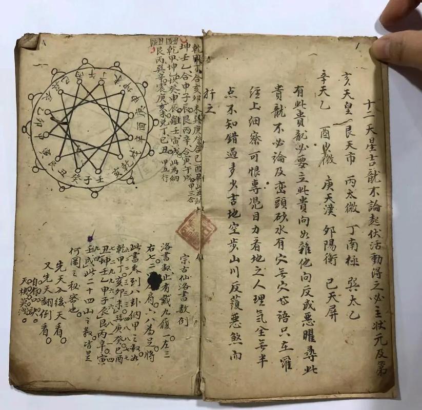 天星术免费观看