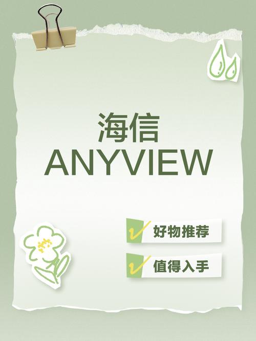 anyview下载官网缩略图