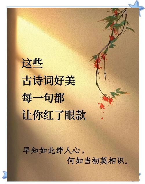 表达爱意的四字诗句图标