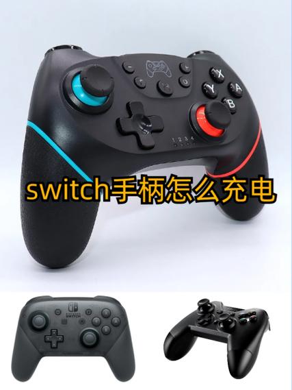 switch上油管怎么上游戏截图