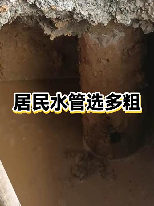 包资源管理器和项目资源管理器缩略图