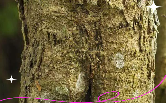 暗区突围热成像伪装缩略图