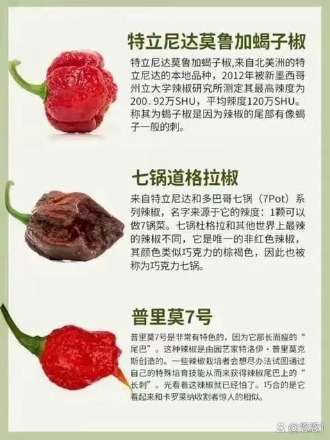 世界辣椒辣度排名游戏截图
