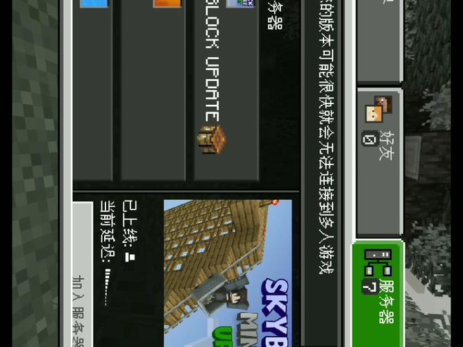 我的世界国际服服务器游戏截图