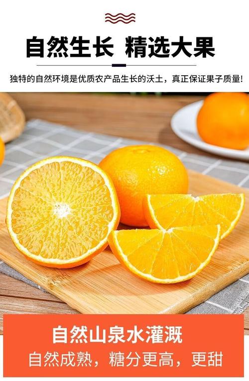 小橙子国体直装游戏截图
