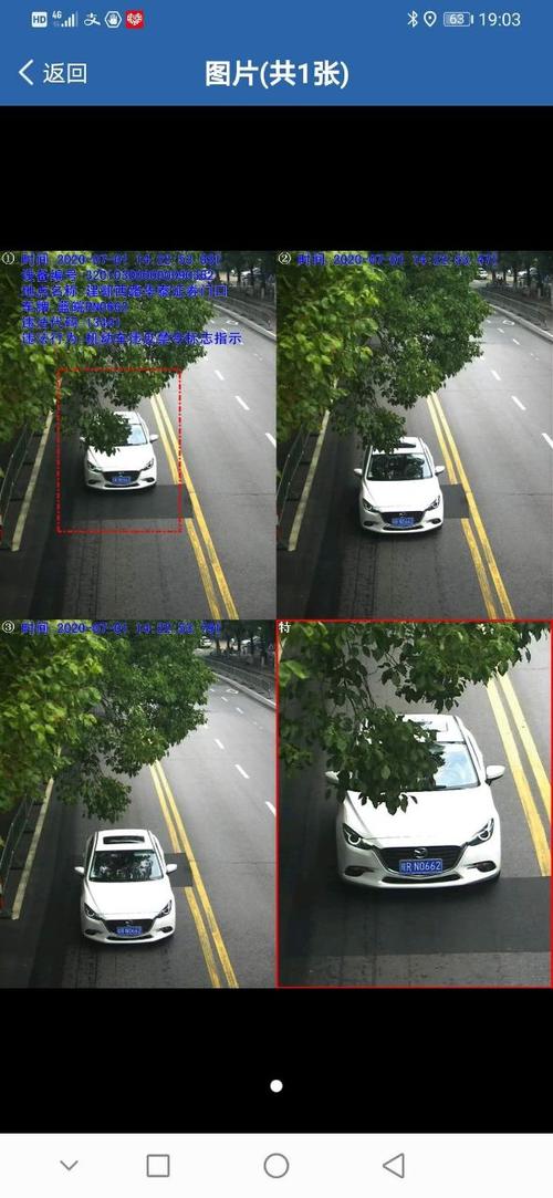 随手拍违章app官方版