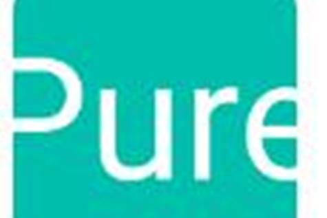 pure有什么特殊含义游戏截图