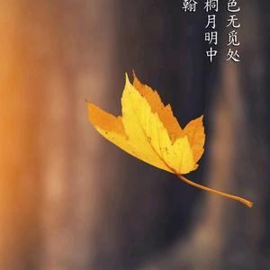 电脑怎么放外音不连耳机图标
