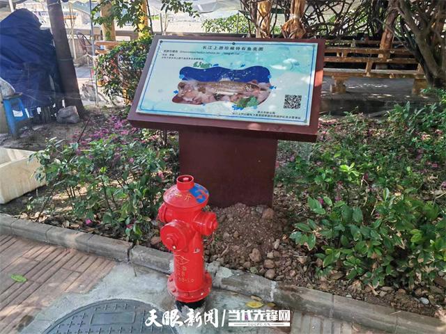 消防自主管理系统app