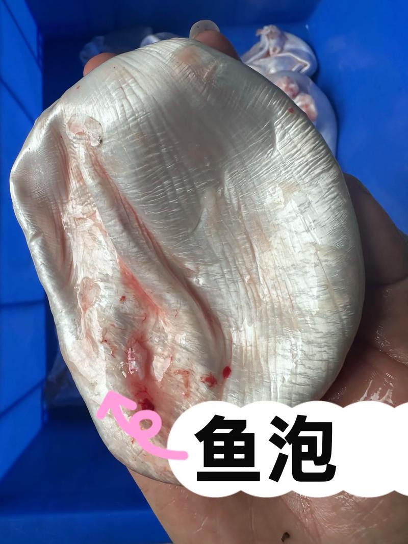 鱼泡泡202012游戏截图
