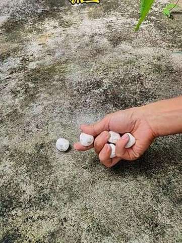 70后80后儿时游戏抓石子具体是怎么玩