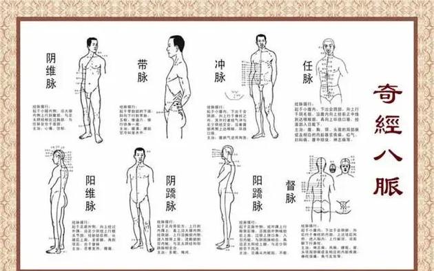 奇经八脉位置