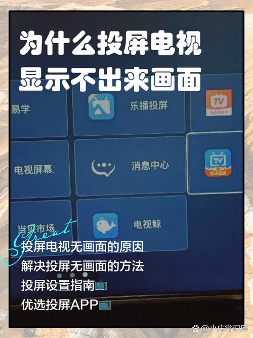 iPad投屏失败的原因游戏截图