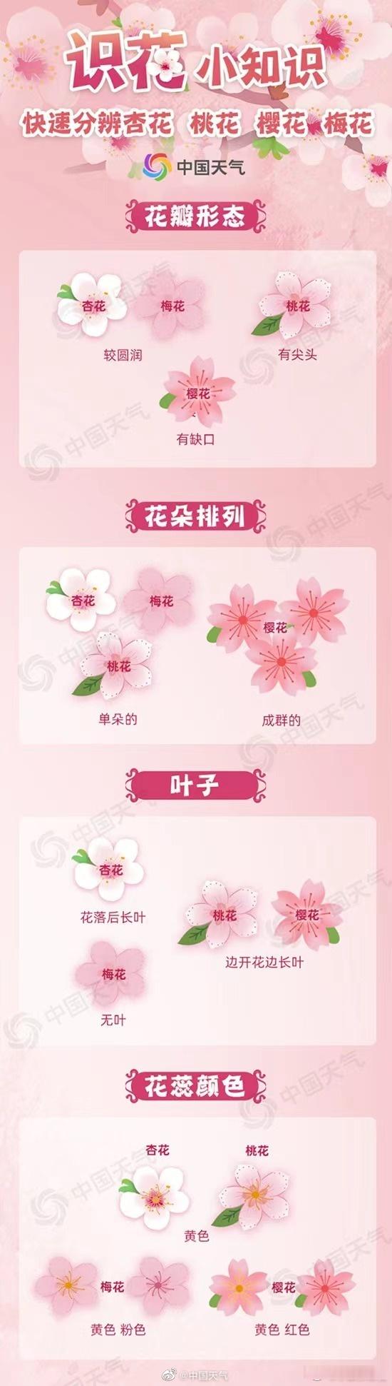 特殊符号花瓣符号