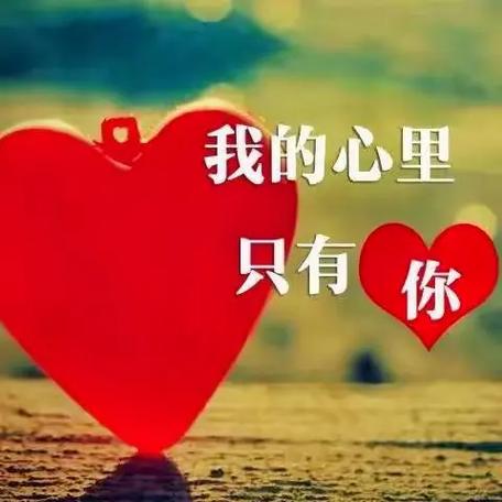 心连心交友图标