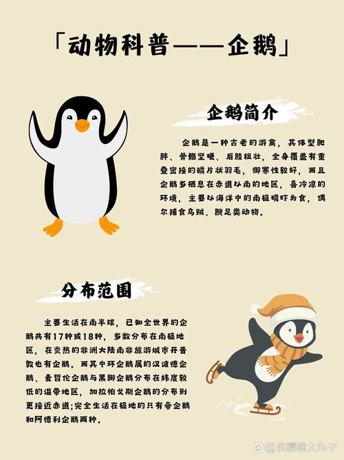 企鹅号红v是什么意思游戏截图