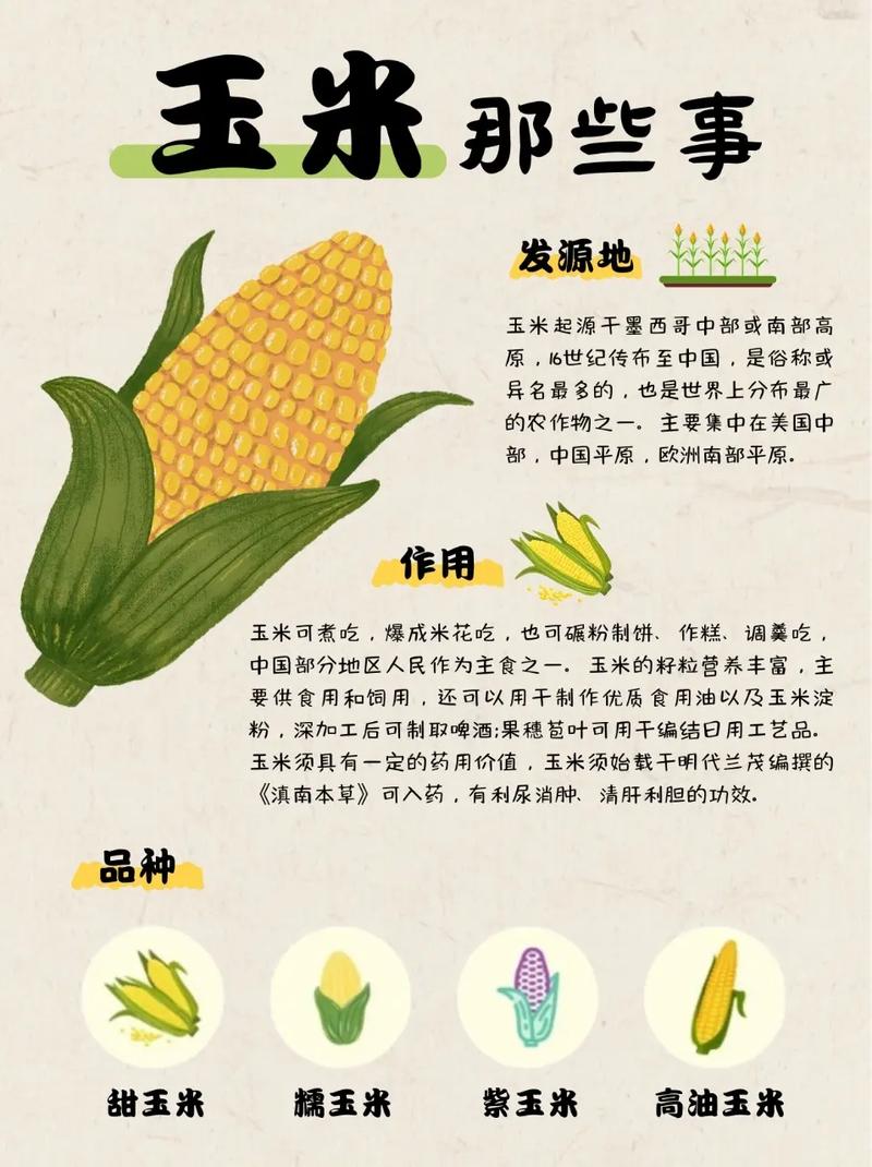 玉米娱乐兑换码