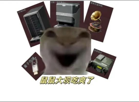 鼠鼠表情图片