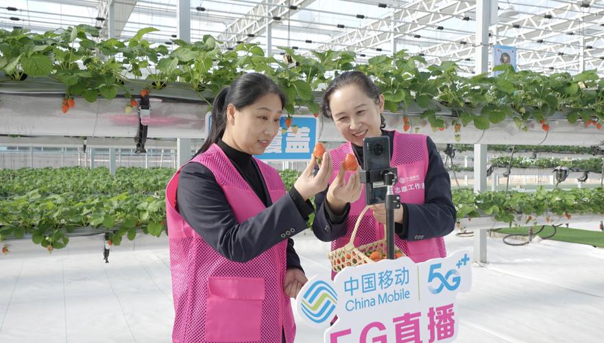G直播是干啥的